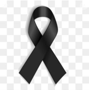 Meet your Posher, Perla